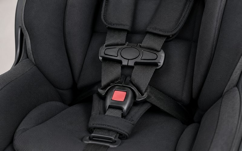Five-Point Harness